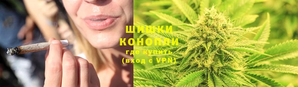 гидропоника Белокуриха