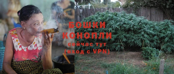 дживик Ивангород