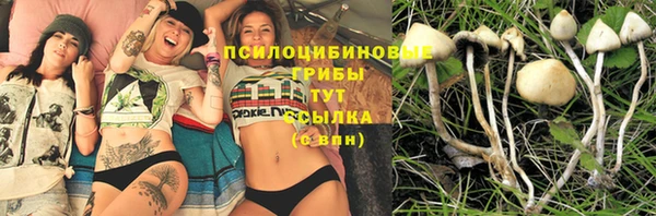 гидропоника Белокуриха