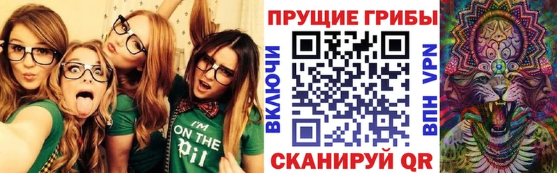 Псилоцибиновые грибы MAGIC MUSHROOMS  Кузнецк 